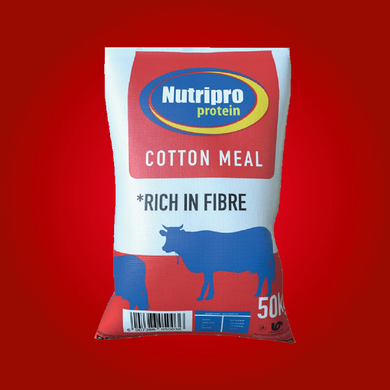 Cotton Meal